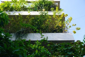 TAA OFFICE: A 500m2 Urban Forest Oasis in the Heart of Ho Chi Minh City - image 24