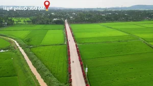 Quang Ngai Countryside: A Floral Paradise Along the Rural Roads - image 2