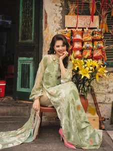 Phanh Lee Radiates Elegance and Sophistication as a Modern Hanoi Noblewoman - image 8