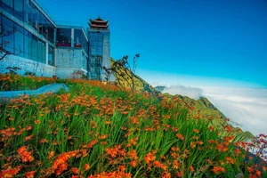 Exploring the Golden Season at Fansipan: The Enchanting May Village Festival - image 5