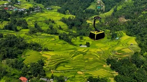 Exploring the Golden Season at Fansipan: The Enchanting May Village Festival - image 9