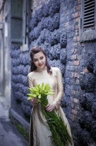 Ultimate 4K Ao Dai Gallery: Redefining Traditional Vietnamese Beauty - image 7
