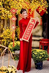 Ultimate 4K Ao Dai Gallery: Redefining Traditional Vietnamese Beauty - image 10