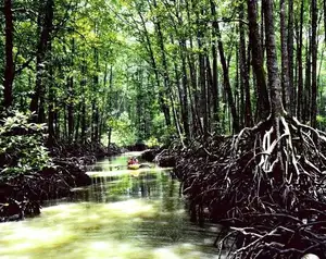 Explore Puerto Princesa National Park: Surreal, Majestic Underground River Hidden in Philippines' Limestone Caves - image 5