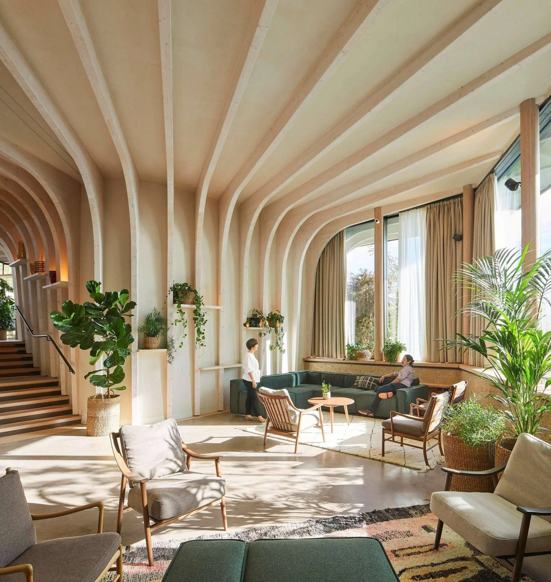 What is Biophilic Design? Real-World Homes Applying Natural Principles Successfully