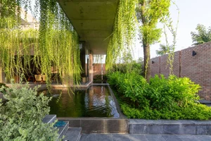 What is Biophilic Design? Real-World Homes Applying Natural Principles Successfully - image 12