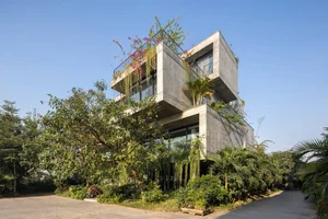 What is Biophilic Design? Real-World Homes Applying Natural Principles Successfully - image 8