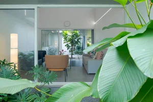 What is Biophilic Design? Real-World Homes Applying Natural Principles Successfully - image 19
