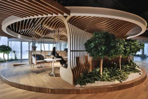 What is Biophilic Design? Real-World Homes Applying Natural Principles Successfully - image 20