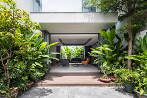What is Biophilic Design? Real-World Homes Applying Natural Principles Successfully - image 4