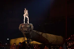 Age-Defying Celebrity Faces $10 Million Loss and Potential Ban Following Controversial 'Giant Python' Concert - image 4