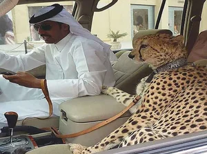 Mind-Blowing Facts About Dubai That Will Absolutely Astonish You - image 5