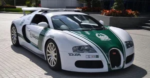 Mind-Blowing Facts About Dubai That Will Absolutely Astonish You - image 7