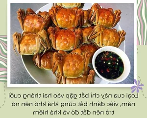 5 Must-Try Culinary Specialties of Bac Giang Province - image 5