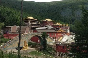 Discover the Unique Temple That Makes Visitors Long for Retirement - image 5