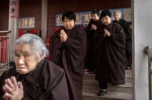 Discover the Unique Temple That Makes Visitors Long for Retirement - image 7