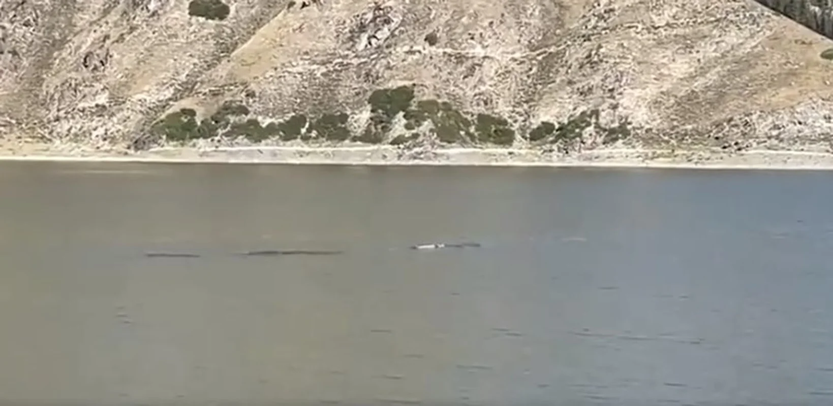 Mystery at the Sacred Lake: 15-Meter 'Sea Monster' Spotted in China