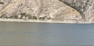 Mystery at the Sacred Lake: 15-Meter 'Sea Monster' Spotted in China - image 3