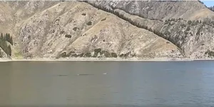Mystery at the Sacred Lake: 15-Meter 'Sea Monster' Spotted in China - image 5