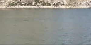 Mystery at the Sacred Lake: 15-Meter 'Sea Monster' Spotted in China - image 2