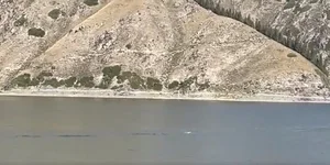 Mystery at the Sacred Lake: 15-Meter 'Sea Monster' Spotted in China - image 4