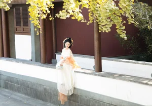YiTuYu Art Language Vol.6066: The Artistry of Yi Wan Da Yu Yuan - image 4