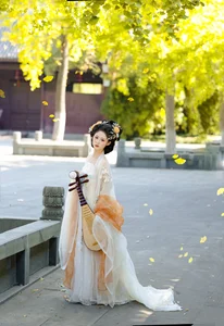 YiTuYu Art Language Vol.6066: The Artistry of Yi Wan Da Yu Yuan - image 7