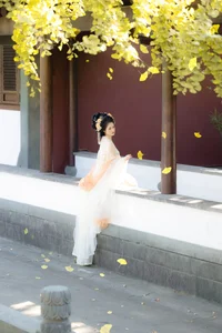 YiTuYu Art Language Vol.6066: The Artistry of Yi Wan Da Yu Yuan - image 6