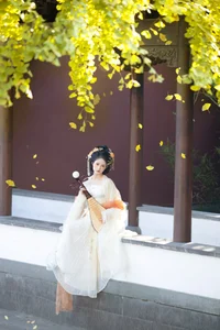 YiTuYu Art Language Vol.6066: The Artistry of Yi Wan Da Yu Yuan - image 3
