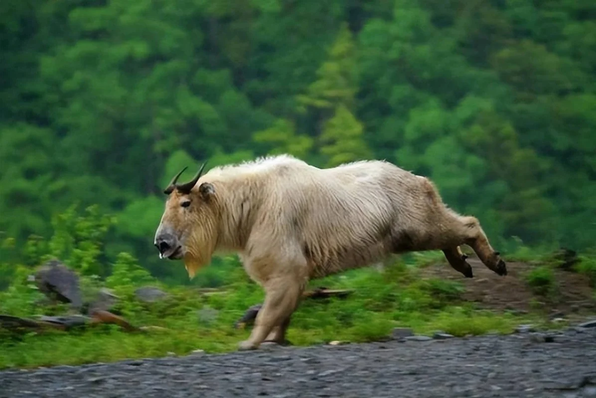 Mythical Monster Reborn: The Surprising Discovery That Shocked Scientists Worldwide