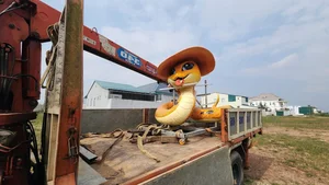 Ben Tre’s Viral Snake Mascot: The Impressive CEO Style 'Be Na' for Lunar New Year 2025 - image 6