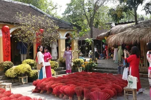 Discover the Charm of Vietnam: A Cultural Journey to Nha Trang Ancient Craft Village During the Traditional Spring Festival - image 9