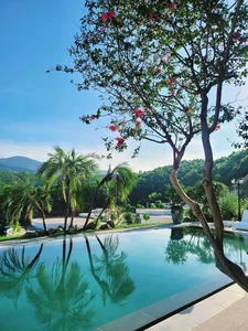 Inside Actor Manh Truong’s Stunning Mountain View Villa - image 7