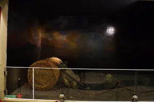 Exploring the Dien Bien Phu Victory Museum: A Journey Through Vietnam's Heroic History - image 30