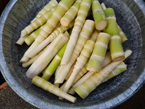 6 Must-Try Specialties of Đắk Lắk: From Survival Food to Delicacies - image 0