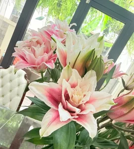 Inside the Stunning 200m2 Floral Villa of the Famous Nhat Ky Vang Anh Actress - image 10