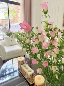 Inside the Stunning 200m2 Floral Villa of the Famous Nhat Ky Vang Anh Actress - image 1