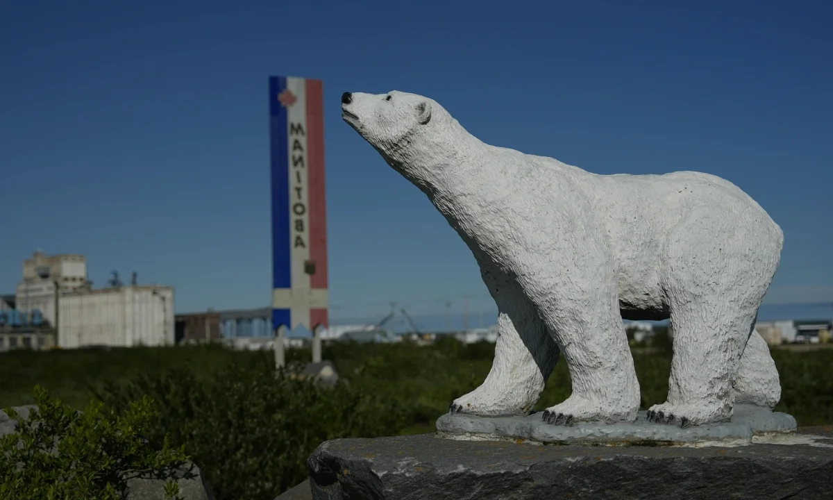 Churchill, Canada: The Town Revived by the Majesty of Polar Bears