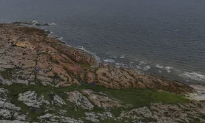 Churchill, Canada: The Town Revived by the Majesty of Polar Bears - image 8