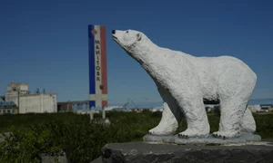 Churchill, Canada: The Town Revived by the Majesty of Polar Bears - image 0
