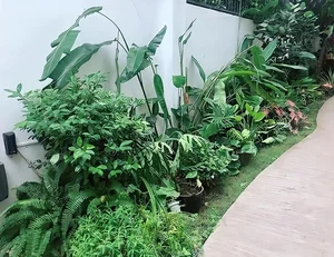 Inside the Stunning Million-Dollar Eco-Friendly Villa of Ly Hai and Minh Ha - image 5