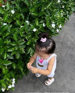 Singer Bao Anh Balances Motherhood and Music Tour Commitments - image 0