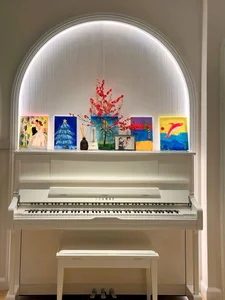 Luxury Living: Inside the Grand Mansions of Vbiz Stars Do My Linh and Linh Rin - image 1