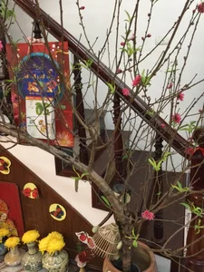 Inside the Surprisingly Simple and Humble Home of Artist Minh Vuong - image 6