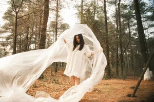 Art Language Vol.6511: The Serene Artistry of Bu Da Xiao Yao - image 8