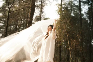 Art Language Vol.6511: The Serene Artistry of Bu Da Xiao Yao - image 5