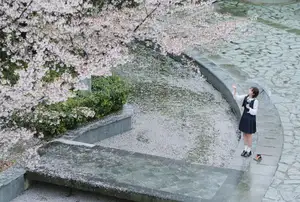 YiTuYu Vol.8649 Xiao Zi: Gentle Spring Beauty, an Aesthetic Portrait Amidst Blossoms. - image 33