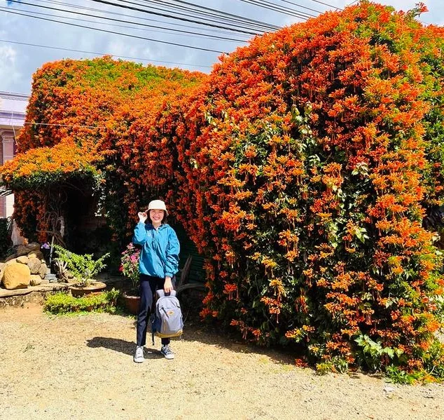 The Fairy Tale House in Bao Loc Covered in Vibrant Orange Firecracker Flowers