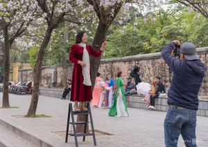 Spring in Hanoi: The Crowds and Beauty of Ban Flower Season - image 4