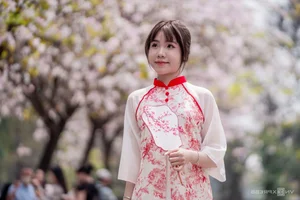 Spring in Hanoi: The Crowds and Beauty of Ban Flower Season - image 1